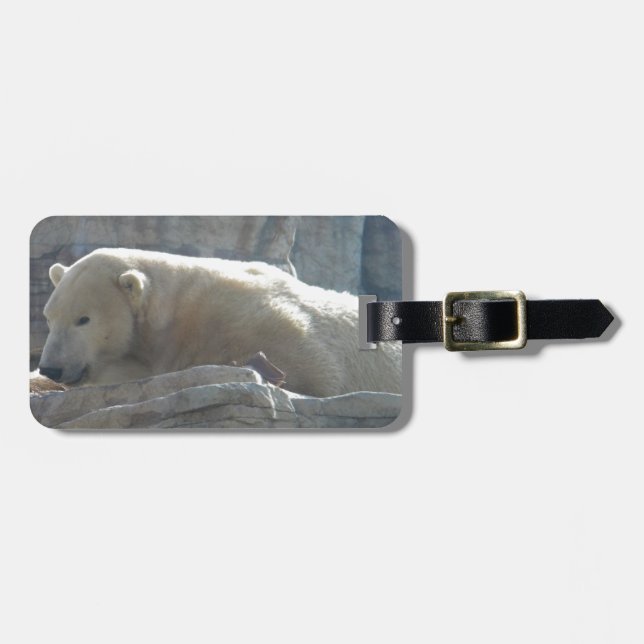 Etiqueta Para Maletas Oso polar (Frente Horizontal)