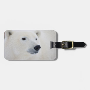 Etiqueta Para Maletas Oso Polar Churchill