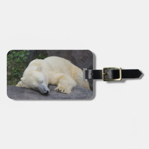 Etiqueta Para Maletas Oso Polar Durmiente