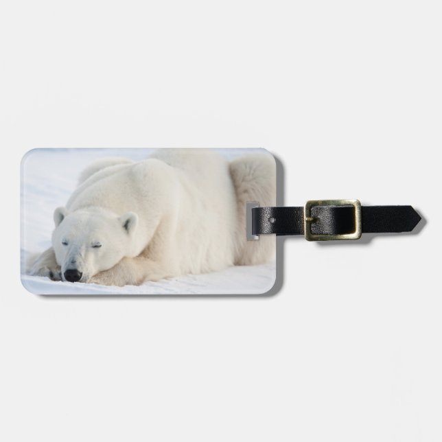Etiqueta Para Maletas Oso polar en invierno (Frente Horizontal)