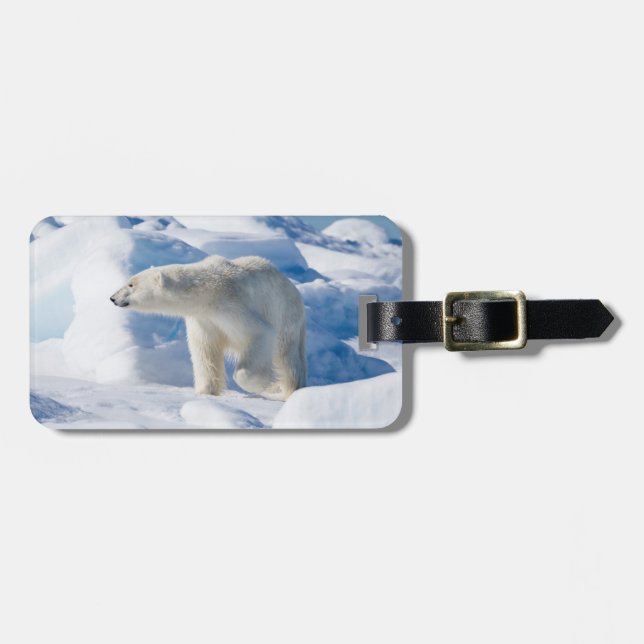 Etiqueta Para Maletas Oso Polar Masculino Joven (Frente Horizontal)