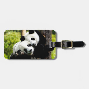 Etiqueta Para Maletas Osos de panda