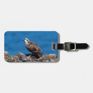 Etiqueta Para Maletas Osprey sobre las rocas