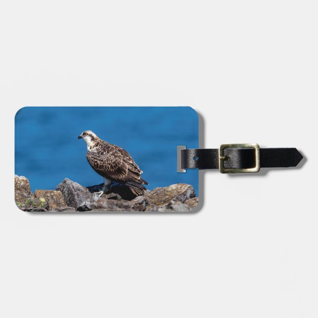 Etiqueta Para Maletas Osprey sobre las rocas (Frente Horizontal)