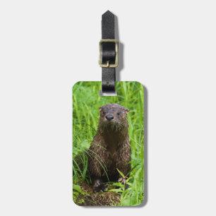 Etiqueta Para Maletas Otter fluvial inteligente