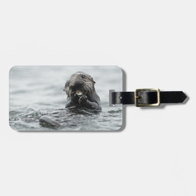 Etiqueta Para Maletas Otter marino adorable (Frente Horizontal)