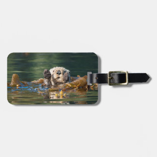Etiqueta Para Maletas Otter Sea Otter