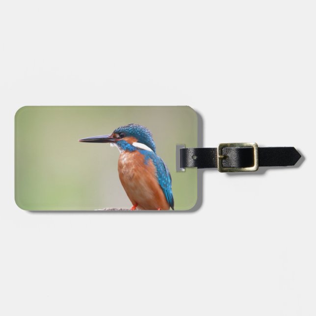 Etiqueta Para Maletas Pájaro pescador. (Frente Horizontal)