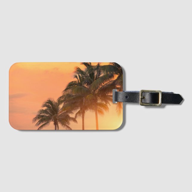 Etiqueta Para Maletas Palmas de Miami (Anverso horizontal)