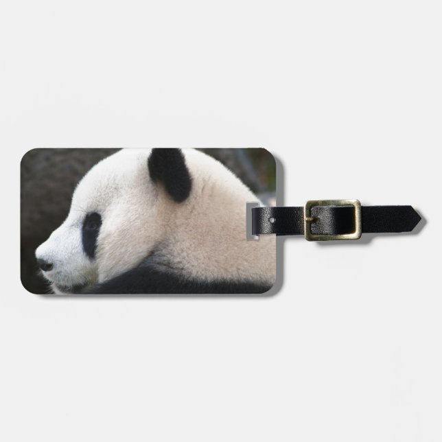 Etiqueta Para Maletas Panda Bear Hugs (Frente Horizontal)