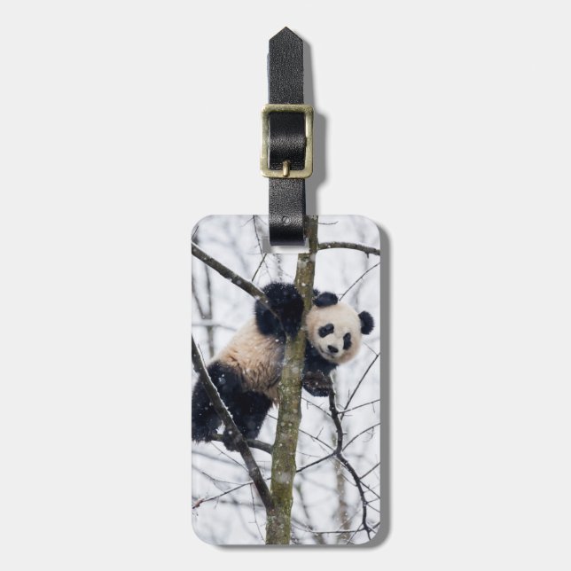 Etiqueta Para Maletas Panda bebé en el árbol (Frente Vertical)