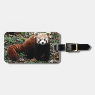 Etiqueta Para Maletas Panda roja