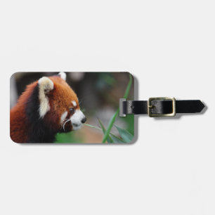 Etiqueta Para Maletas Panda roja