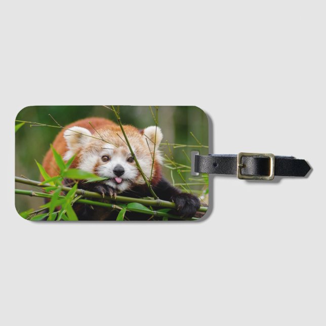 Etiqueta Para Maletas Panda rojo (Anverso horizontal)