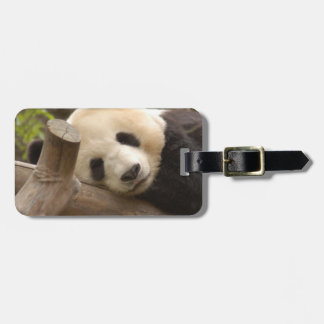 Etiqueta Para Maletas PandaSD010
