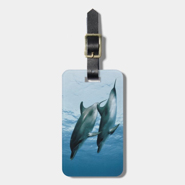 Etiqueta Para Maletas Pareja de delfines (Frente Vertical)