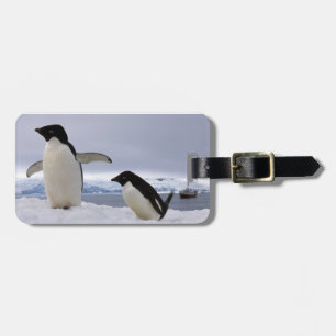 Etiqueta Para Maletas Pareja de pingüinos Adelie Antártida
