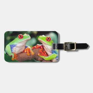 Etiqueta Para Maletas Pareja de ranas de ojos rojos, Agalychinis callidr