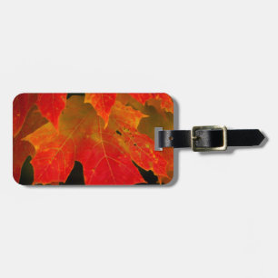 Etiqueta Para Maletas Parque Estatal Itasca, Colores Caídos 2