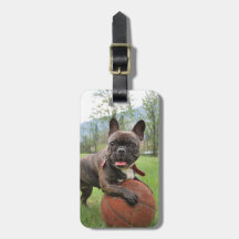Parte movible del bulldog francés su propia foto