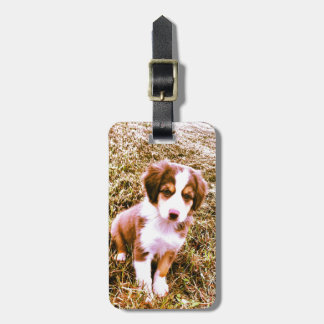 Etiqueta Para Maletas ¡Pastor australiano miniatura! ¡Mini perrito