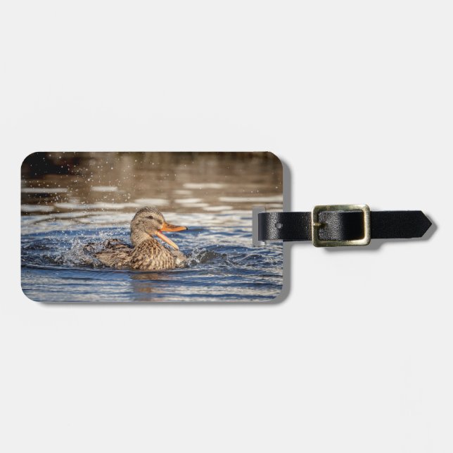 Etiqueta Para Maletas Pato Mallard en Downing Park (Frente Horizontal)