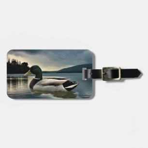 Etiqueta Para Maletas Pato Mallard En El Lago