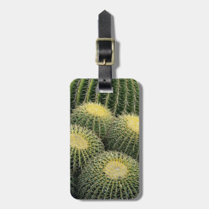 Etiqueta Para Maletas Patrón de cactus