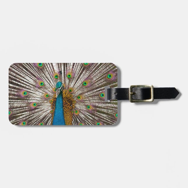 Etiqueta Para Maletas Pavo real pacífico (Frente Horizontal)