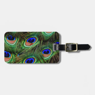 Etiqueta Para Maletas Peacock Feathers