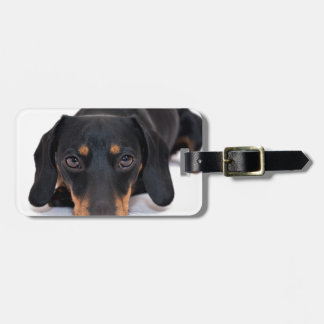 Etiqueta Para Maletas Pequeño Dachshund