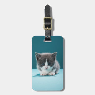 Etiqueta Para Maletas Pequeño gatito