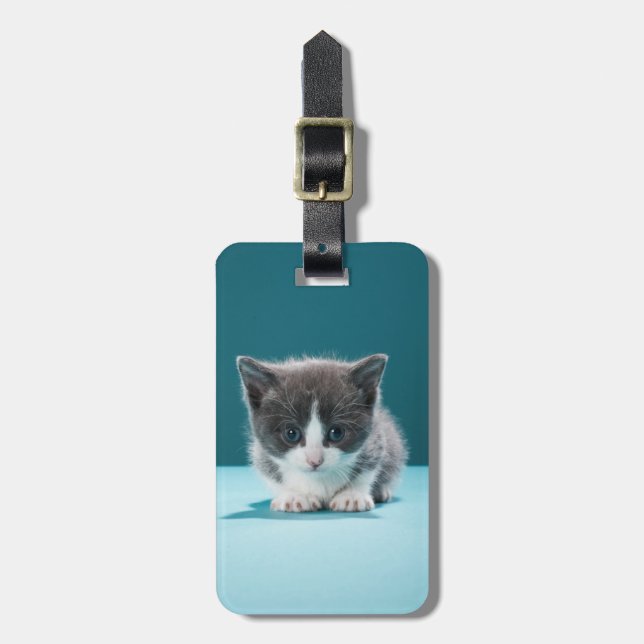 Etiqueta Para Maletas Pequeño gatito (Frente Vertical)