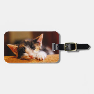 Etiqueta Para Maletas Pequeño Kitty Dormido