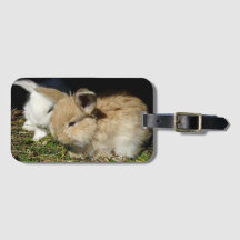 Pequeños conejitos esponjosos