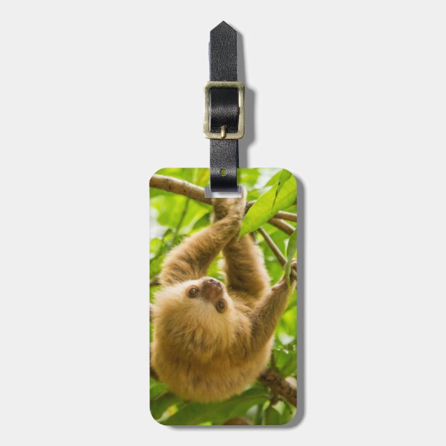 Etiqueta Para Maletas Pereza al revés de las imágenes el | de Getty (Frente Vertical)