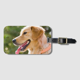 Etiqueta Para Maletas Perfil de Golden Retriever con lengua de salida