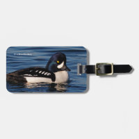 Perfil de un Goldeneye de Barrow