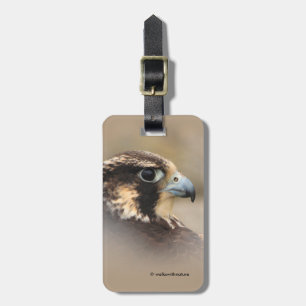 Etiqueta Para Maletas Perfil visto de un halcón peregrino