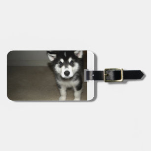 Etiqueta Para Maletas perrito 3.png del malamute de Alaska