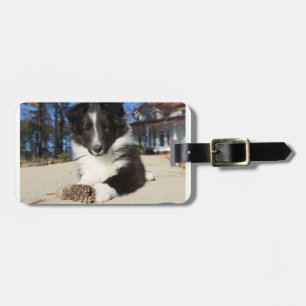 Etiqueta Para Maletas perrito blanco y negro de shap
