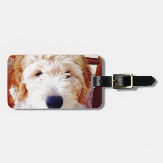 Etiqueta Para Maletas Perrito de Goldendoodle (Frente Horizontal)