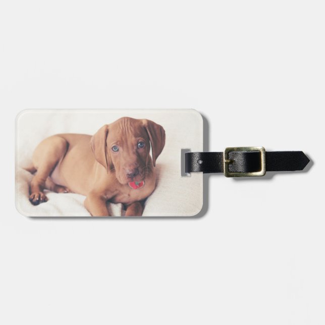 Etiqueta Para Maletas Perrito de Vizsla del húngaro (Frente Horizontal)