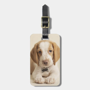 Etiqueta Para Maletas Perrito del beagle