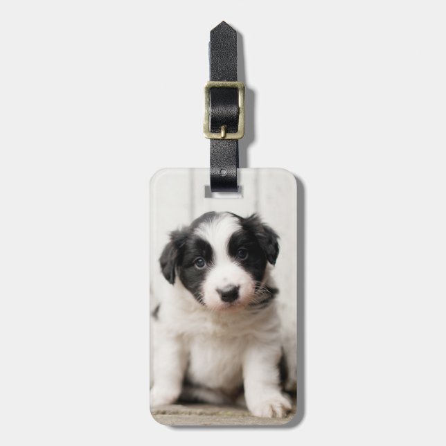 Etiqueta Para Maletas Perrito del border collie (Frente Vertical)