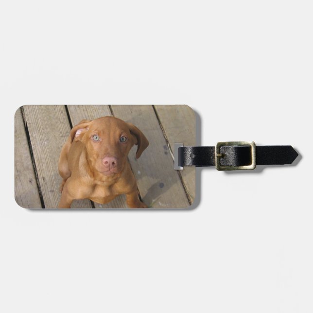 Etiqueta Para Maletas perrito del vizsla (Frente Horizontal)