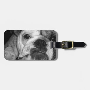 Etiqueta Para Maletas Perrito inglés blanco y negro del bulldog