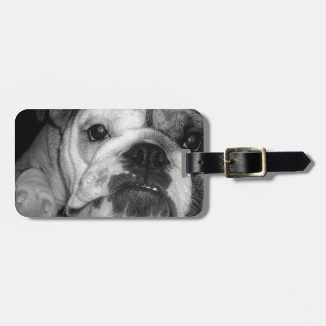 Etiqueta Para Maletas Perrito inglés blanco y negro del bulldog (Frente Horizontal)