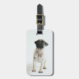 Etiqueta Para Maletas Perrito lindo del barro amasado