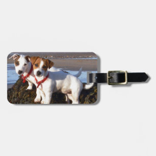 Etiqueta Para Maletas Perritos de Jack Russell